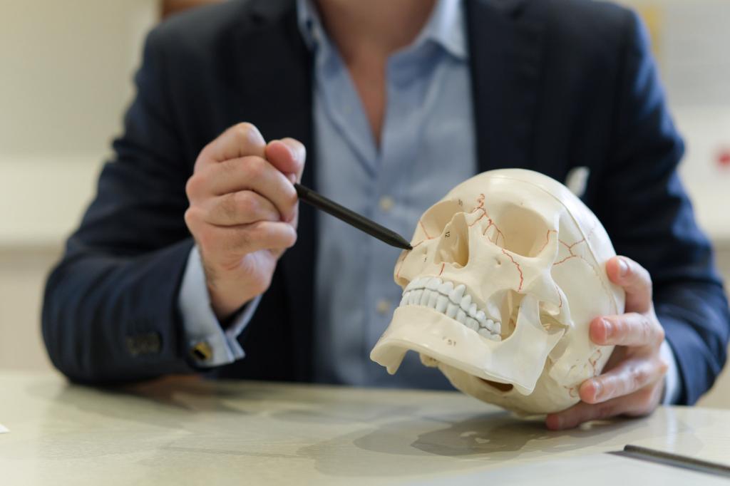 Dr David Sparks indicating the jawline on an anatomical skull model